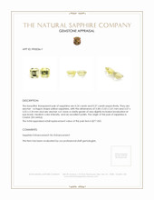 0.51&nbsp;Ct.Tw.Total Carat Weight Yellow Sapphire Pair from Ceylon (Sri Lanka) Appraisal
