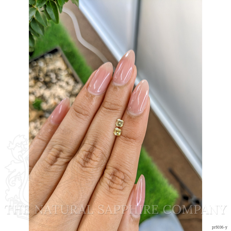 0.51 Ct.Tw. Yellow Sapphire Pair from Ceylon (Sri Lanka)