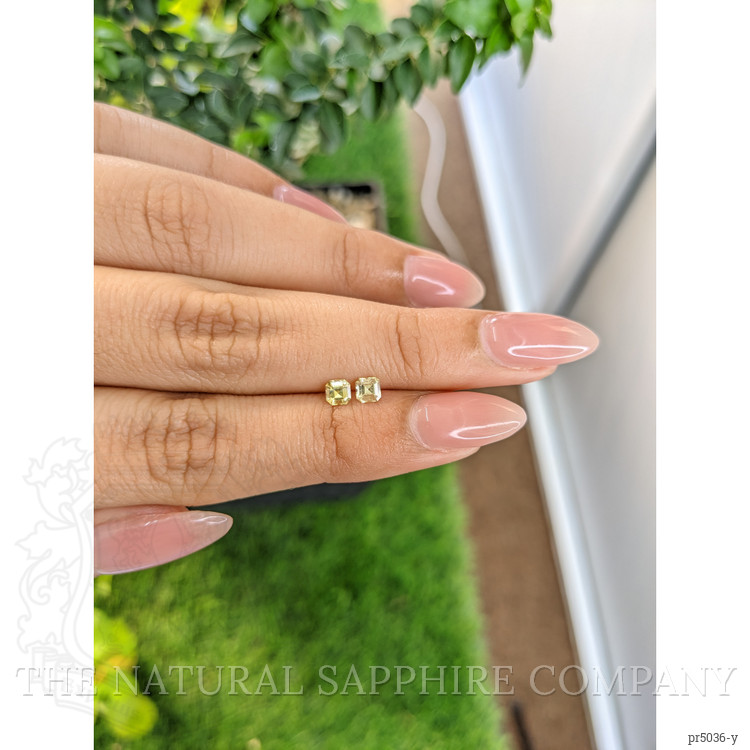 0.51 Ct.Tw. Yellow Sapphire Pair from Ceylon (Sri Lanka)