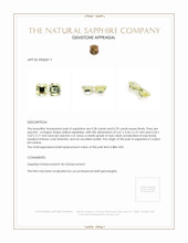 0.57&nbsp;Ct.Tw.Total Carat Weight Yellow Sapphire Pair from Ceylon (Sri Lanka) Appraisal