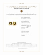 Jewelry Scan Report