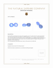 5.04&nbsp;Ct.Tw.Total Carat Weight Blue Star Sapphire Pair from Burma (Myanmar) Appraisal