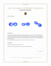 4.87&nbsp;Ct.Tw.Total Carat Weight Blue Star Sapphire Pair from Burma (Myanmar) Appraisal