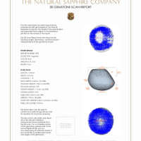 4.87 Ct.Tw.Total Carat Weight Blue Star Sapphire Pair from Burma (Myanmar) 3 D Scan Report