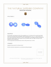 4.50&nbsp;Ct.Tw.Total Carat Weight Blue Star Sapphire Pair from Burma (Myanmar) Appraisal