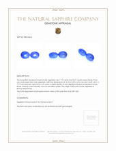 15.26&nbsp;Ct.Tw.Total Carat Weight Blue Star Sapphire Pair from Burma (Myanmar) Appraisal