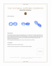 11.33&nbsp;Ct.Tw.Total Carat Weight Blue Star Sapphire Pair from Burma (Myanmar) Appraisal