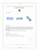 12.29&nbsp;Ct.Tw.Total Carat Weight Blue Star Sapphire Pair from Burma (Myanmar) Appraisal