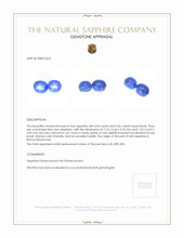 6.10&nbsp;Ct.Tw.Total Carat Weight Blue Star Sapphire Pair from Burma (Myanmar) Appraisal