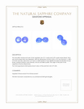 8.50&nbsp;Ct.Tw.Total Carat Weight Blue Star Sapphire Pair from Burma (Myanmar) Appraisal