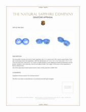6.00&nbsp;Ct.Tw.Total Carat Weight Blue Star Sapphire Pair from Burma (Myanmar) Appraisal