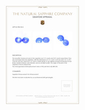 6.22 Ct.Tw.Total Carat Weight Blue Star Sapphire Pair from Burma (Myanmar) Appraisal