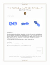 6.97 Ct.Tw.Total Carat Weight Blue Star Sapphire Pair from Burma (Myanmar) Appraisal