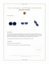 1.27 Ct.Tw.Total Carat Weight Blue Sapphire Pair from Ceylon (Sri Lanka) Appraisal