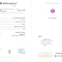 Jewelry Scan Report