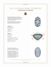 Jewelry 3 D Scan Report