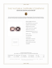 Jewelry Scan Report