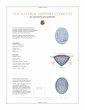 5.84 Ct.Tw.Total Carat Weight Blue Sapphire Pair from Ceylon (Sri Lanka) 3 D Scan Report