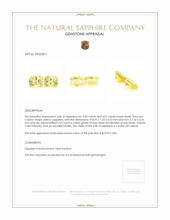 8.07&nbsp;Ct.Tw.Total Carat Weight Yellow Sapphire Pair from Ceylon (Sri Lanka) Appraisal