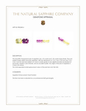 2.45&nbsp;Ct.Tw.Total Carat Weight Yellow Sapphire Pair from Ceylon (Sri Lanka) Appraisal