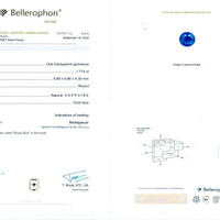 3.35&nbsp;Ct.Tw.Total Carat Weight Blue Sapphire Pair from Madagascar Scan Report