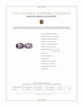 Jewelry Scan Report