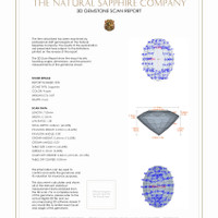 Jewelry 3 D Scan Report