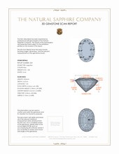 2.73&nbsp;Ct.Tw.Total Carat Weight Blue Sapphire Pair from Ceylon (Sri Lanka) 3 D Scan Report