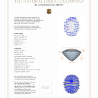 Jewelry 3 D Scan Report