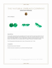 1.07 Ct.Tw.Total Carat Weight Emerald Pair from Zambia Appraisal