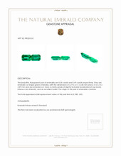 0.99 Ct.Tw.Total Carat Weight Emerald Pair from Zambia Appraisal