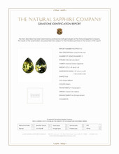 Jewelry Scan Report
