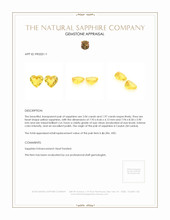 4.01&nbsp;Ct.Tw.Total Carat Weight Yellow Sapphire Pair from Ceylon (Sri Lanka) Appraisal