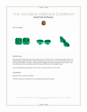 6.39 Ct.Tw.Total Carat Weight Emerald Pair from Brazil Appraisal