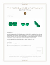 6.39 Ct.Tw.Total Carat Weight Emerald Pair from Brazil Appraisal