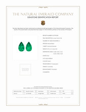 Jewelry Scan Report