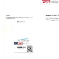 10.13 Ct.Tw.Total Carat Weight Ruby Pair from Mozambique Scan Report