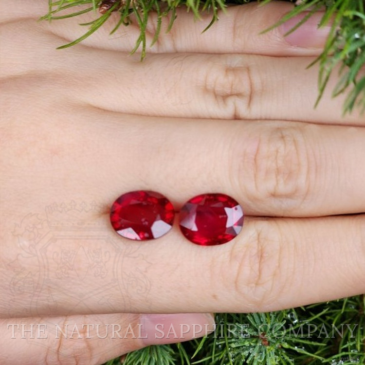 10.13 Ct.Tw. Ruby Pair from Mozambique
