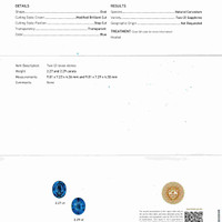 Jewelry Scan Report