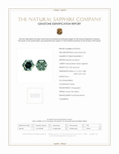 Jewelry Scan Report