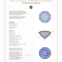 0.63 Ct.Tw.Total Carat Weight Sapphire Studs Earrings, Platinum 950 3 D Scan Report