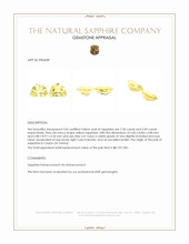 4.39 Ct.Tw.Total Carat Weight Yellow Sapphire Pair from Ceylon (Sri Lanka) Appraisal