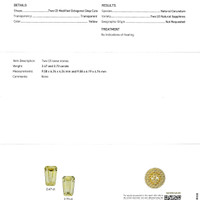 5.20 Ct.Tw.Total Carat Weight Yellow Sapphire Pair from Ceylon (Sri Lanka) Scan Report