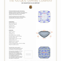 Jewelry 3 D Scan Report
