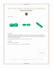2.73 Ct.Tw.Total Carat Weight Emerald Pair from Brazil Appraisal
