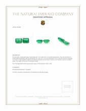 3.14 Ct.Tw.Total Carat Weight Emerald Pair from Brazil Appraisal