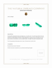 2.30 Ct.Tw.Total Carat Weight Emerald Pair from Brazil Appraisal