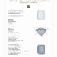 Jewelry 3 D Scan Report