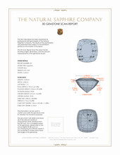 Jewelry 3 D Scan Report