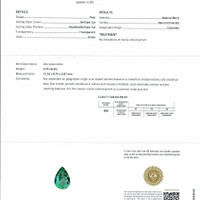 Jewelry Scan Report